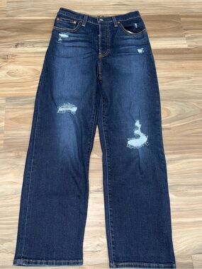 Signature by Levi Strauss Men's Straight Jeans - Dark Blue Distressed